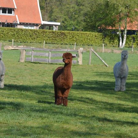 Erve Grootenhuys Deurningen Exteriör bild