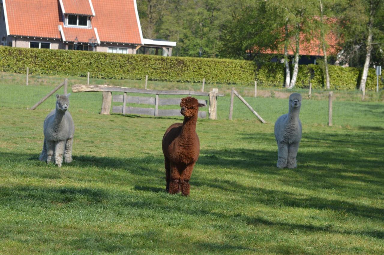 Erve Grootenhuys Deurningen Exteriör bild
