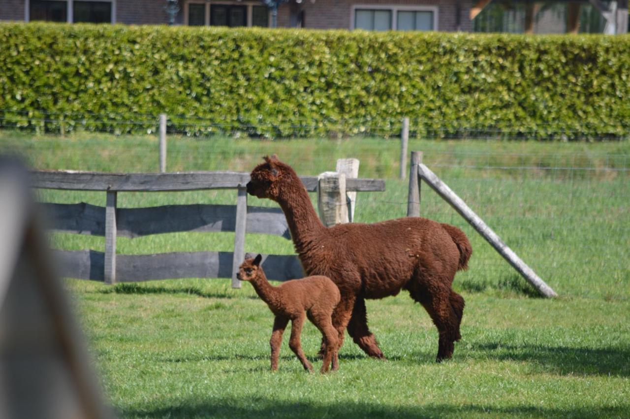 Erve Grootenhuys Deurningen Exteriör bild